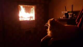 Хостелы Libera София-1